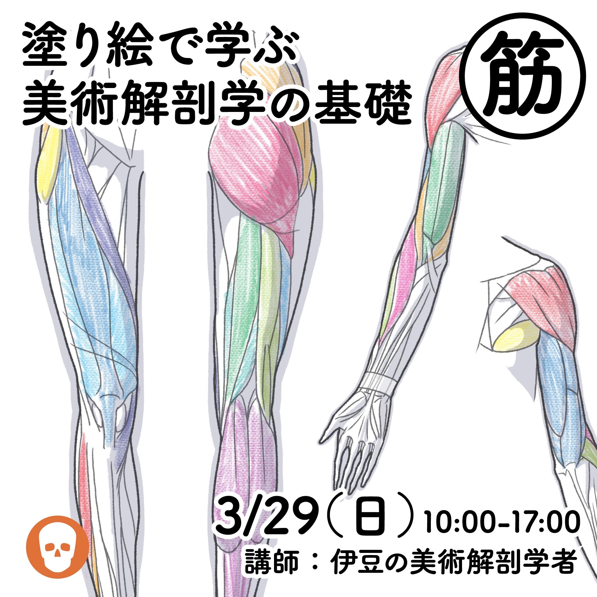 美術解剖学5点セット 塗り絵で学ぶ美術解剖学の基礎・骨と筋」 | anatomy tutorials
