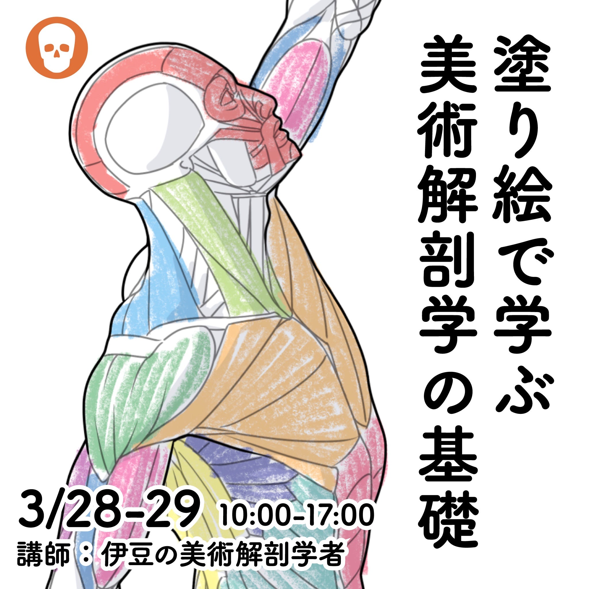 塗り絵で学ぶ美術解剖学の基礎・骨と筋」 | anatomy tutorials