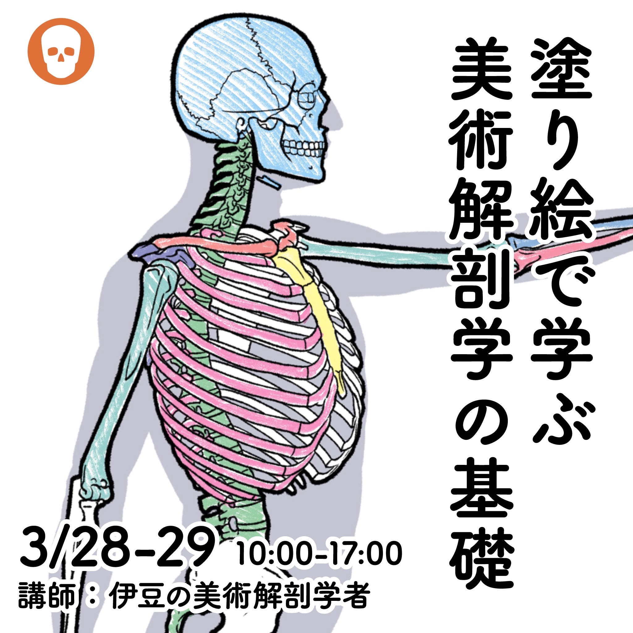 塗り絵で学ぶ美術解剖学の基礎・骨と筋」 | anatomy tutorials