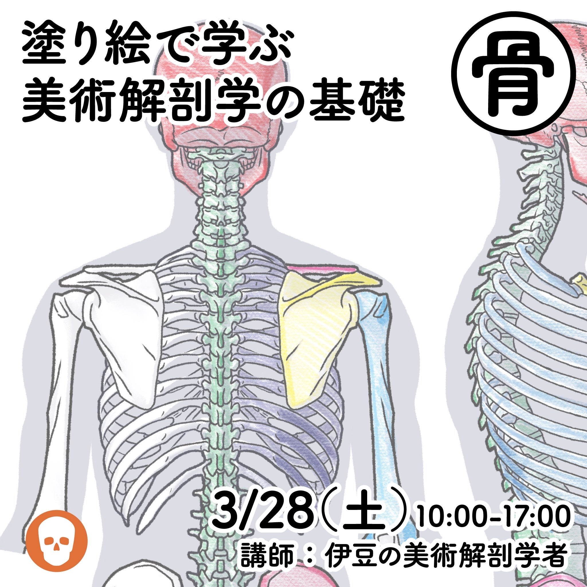 塗り絵で学ぶ美術解剖学の基礎・骨と筋」 | anatomy tutorials